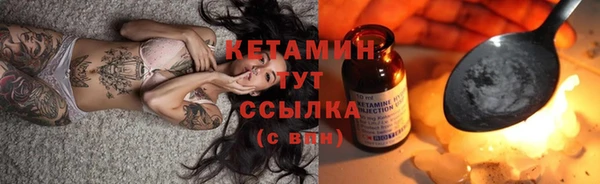 прущие грибы Абаза