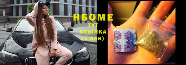 прущие грибы Абаза