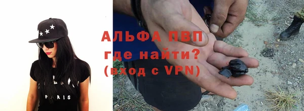 прущие грибы Абаза