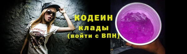 прущие грибы Абаза