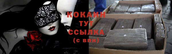 прущие грибы Абаза