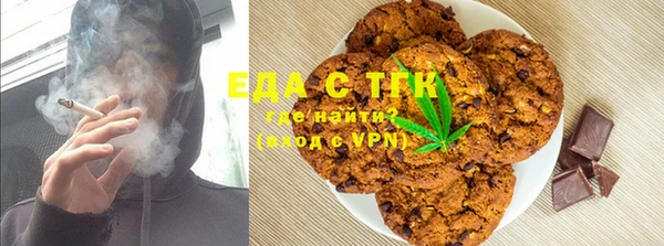 прущие грибы Абаза