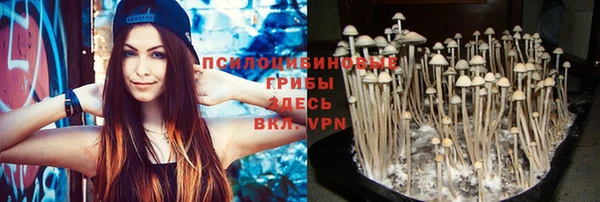 спиды Абинск