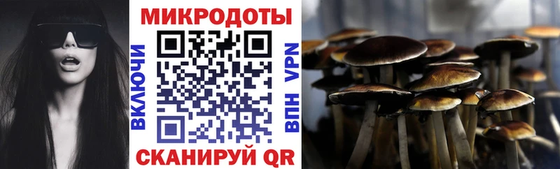 Галлюциногенные грибы MAGIC MUSHROOMS  omg ссылки  Александровск  где продают наркотики 